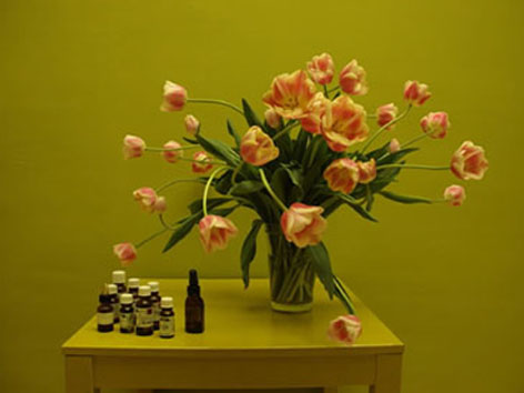 Massagepraktijk homemas massage nijmegen Massagepraktijk homemas massage nijmegen